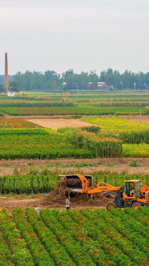 河南省农业农村厅总投资182亿支持灾后农业重建