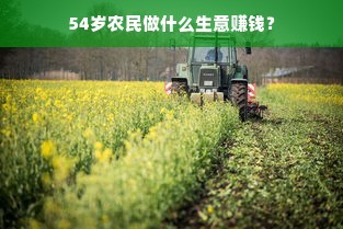 54岁农民做什么生意赚钱?